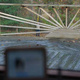 Image for article titled Griffin Evolve Is the Perfect iPod Dock (Well, Almost)